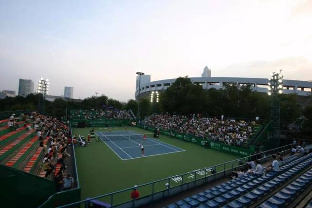 官方向这位 官方向这位